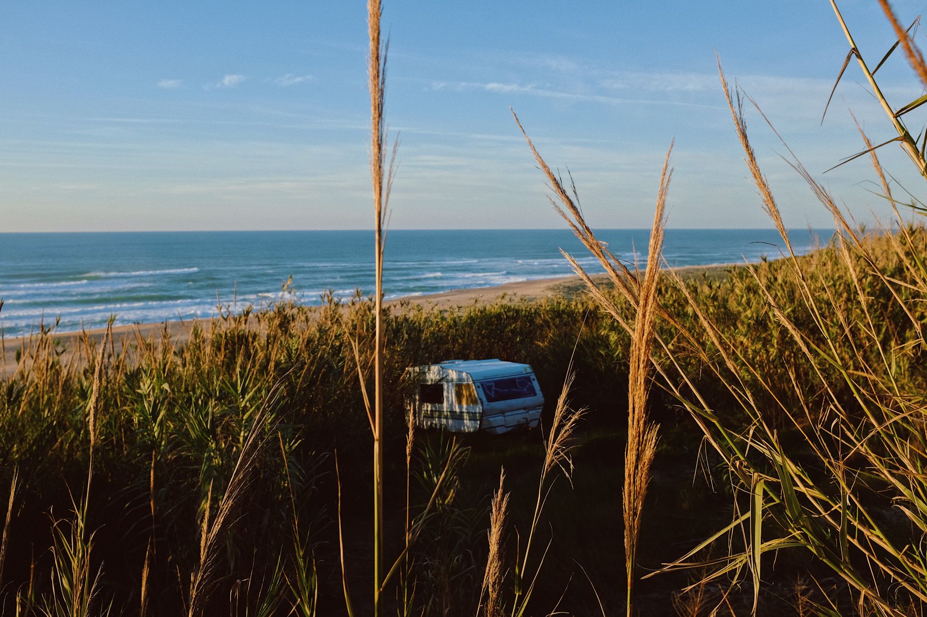 rv among bushes on sea coast